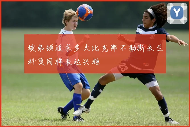 埃弗顿追求多夫比克那不勒斯米兰科莫同样表达兴趣