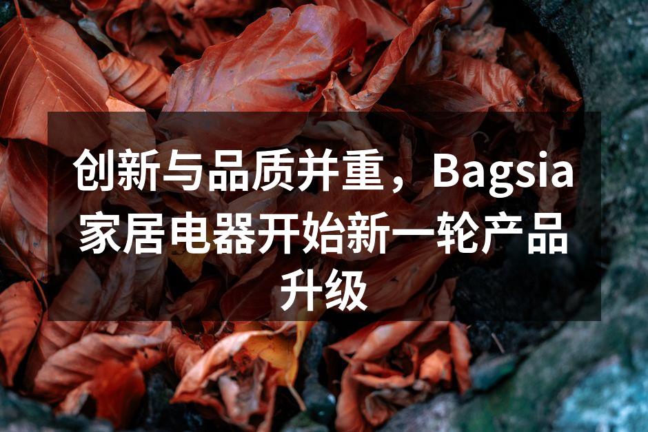 Bagsia新款智能冰箱,科技与设计的完美结合。